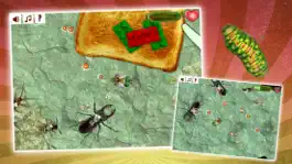 Game screenshot Insect Evolution:Butterfly apk