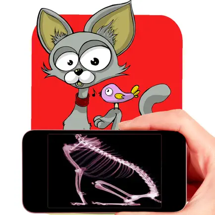 Xray For Kids Simulator Читы