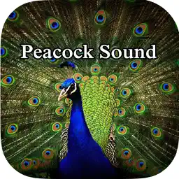 Peacock - Chirping Sounds app icon