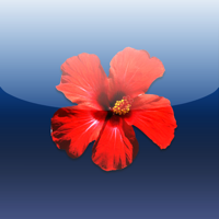 Live Love Oceans Apart