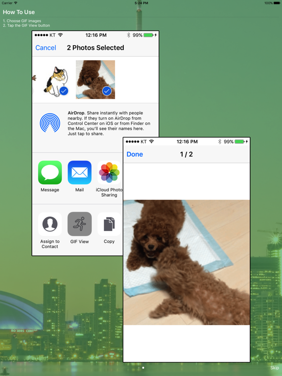 Screenshot #5 pour Easy GIF Viewer
