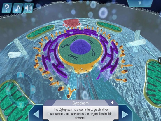 Cell World iPad screenshot 4 - Education app