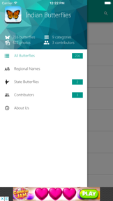 Indian Butterflies screenshot