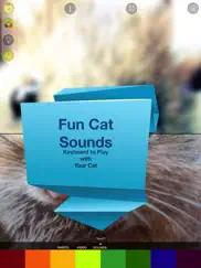 cat vision hd ipad resimleri 4