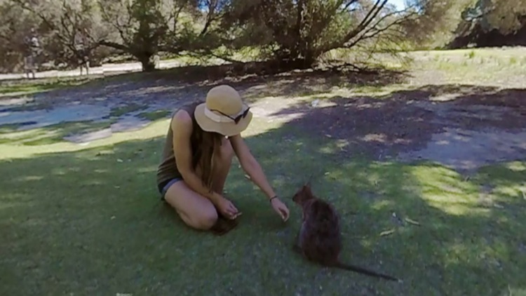 StudyPerth VR screenshot-3