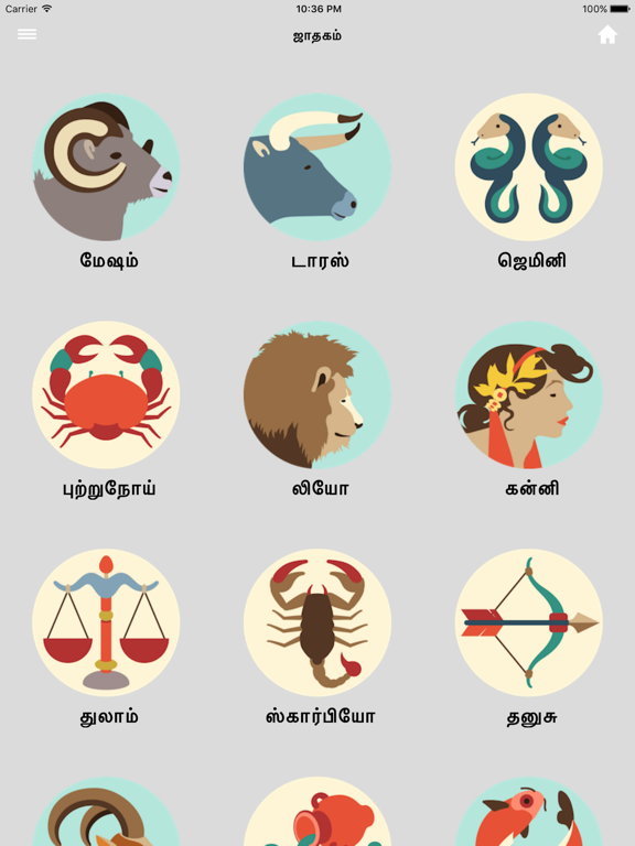 Tamil Calendar™ iPad screenshot