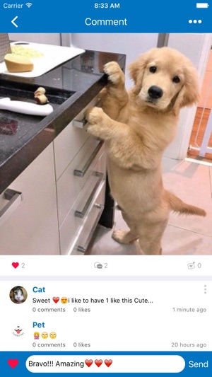 FunPet: The Pet Collective(圖3)-速報App