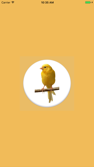 Canary Bird Sounds(圖1)-速報App