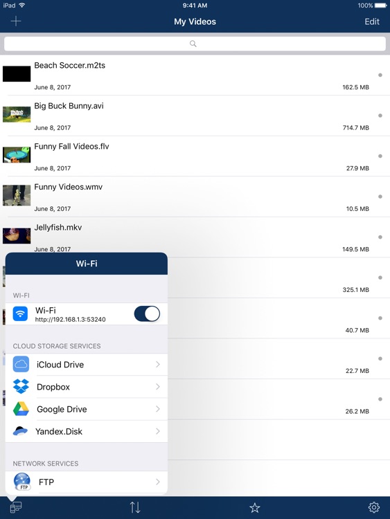 AVPlayer for iPad