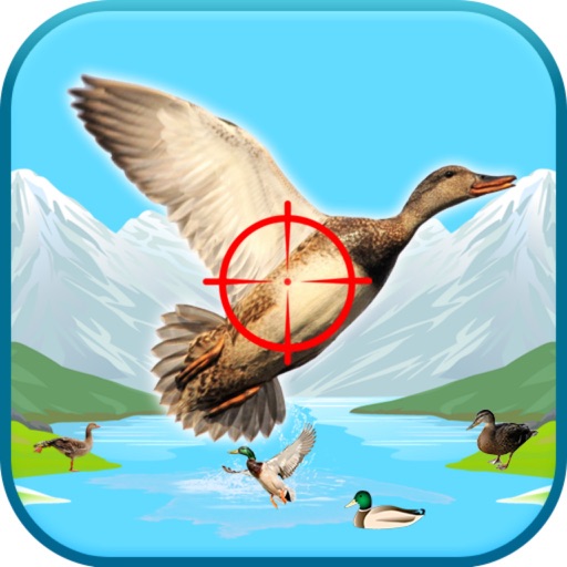 Target Sky Duck Fly 3D icon