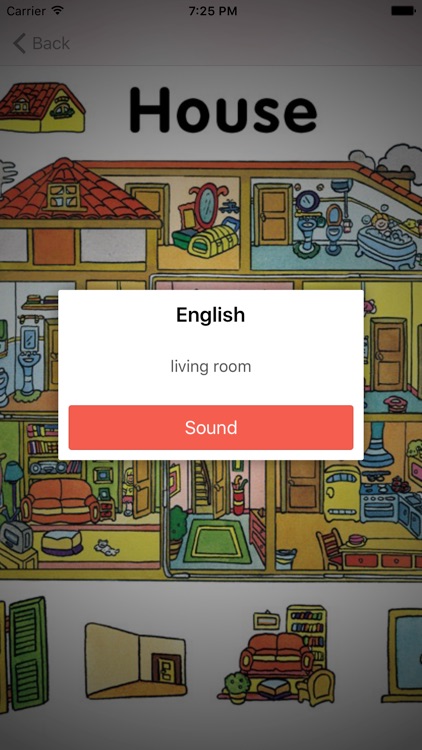 Learning English (American) Basic Words