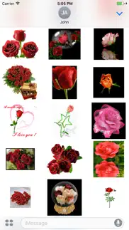 animated cute flower & rose gif stickers problems & solutions and troubleshooting guide - 2