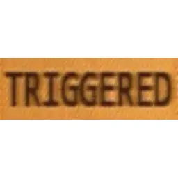 Triggered Generator app icon