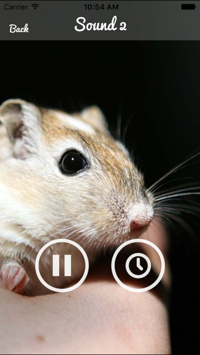 Screenshot #3 pour Mouse and Rat Sounds