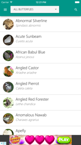 Indian Butterflies screenshot