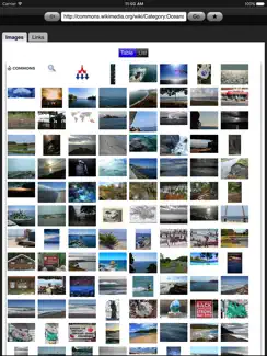Web Images Lite iPad image 1