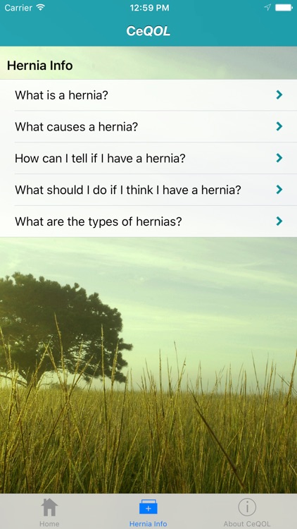 CeQOL – Inguinal Hernia screenshot-3