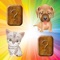 A wonderful Match Game and a cute collection of dogs and cats for toddlers and kids