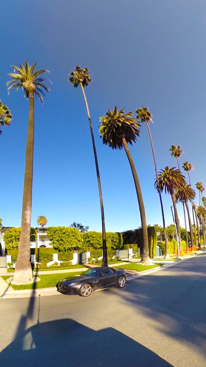VR Beverly Hills Drive A Virtual Reality Trip 360