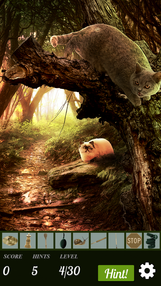 #5. Hidden Object - Cats Island (iOS) 由: Difference Games