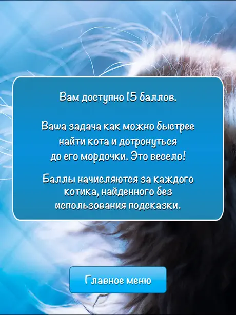 Найди кота для iPad
