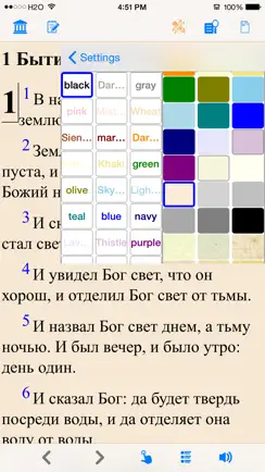 Библия (текст и аудио)(audio)(Russian Bible) iPhone image 2