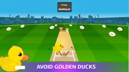 Game screenshot Wild Cricket Fever hack