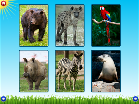 Screenshot #5 pour Zoo Sounds Lite - A Fun Animal Sound Game for Kids