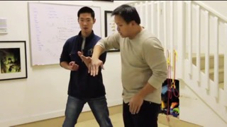 Wing Chun Master Classのおすすめ画像3