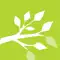 DementiaSolutions anmeldelser
