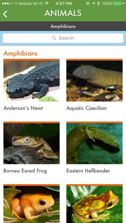 Houston Zoo screenshot-3