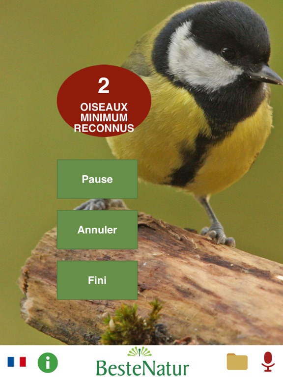 Oiseaux chanteurs - reconnaître la chanson Oiseaux chanteurs - reconnaître la chanson