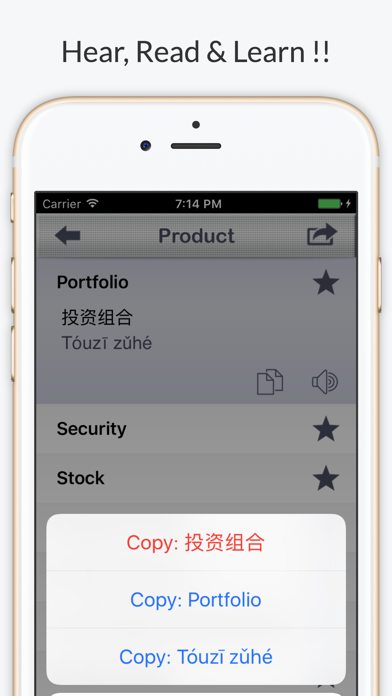 Financial Chinese - Phrases, Words & Vocabulary Screenshot 4 - AppWisp.com