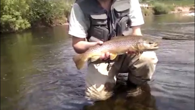 River Fishing(圖5)-速報App