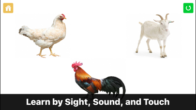 Screenshot #2 pour Preschool Games - Farm Animals by Photo Touch