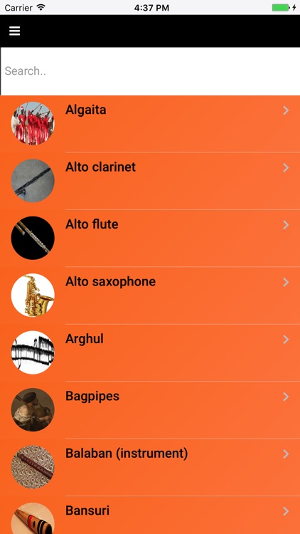 Woodwinds: Beautiful Wind Instruments