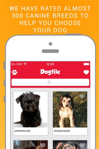 Dog File: Find the perfect dog breed that fits you screenshot 2