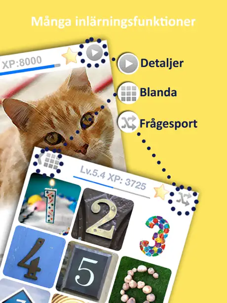 Lär dig finska med språkkurs gratis