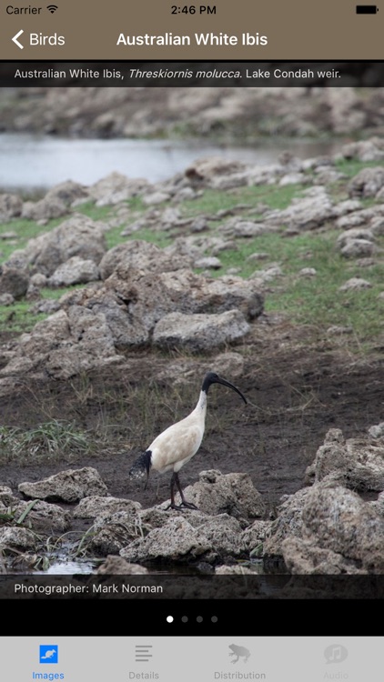 Field Guide to the Budj Bim Cultural Landscape screenshot-3