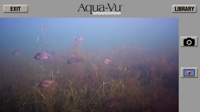 Screenshot #2 pour Aqua-Vu AV Connect