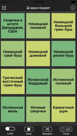 Game screenshot звуки Крикет mod apk