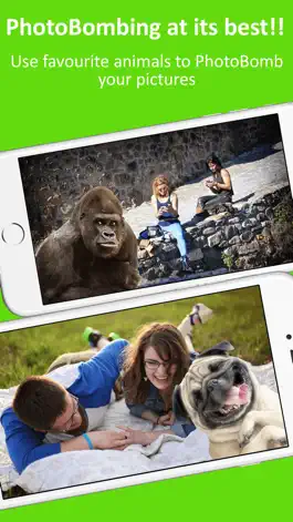 Game screenshot Stick2Me-Animals Photobomb Fun mod apk