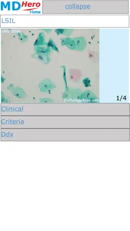 Game screenshot Cytology mod apk