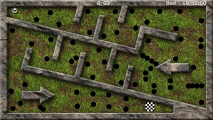 The Labyrinth Tilt Maze screenshot #4 for iPhone