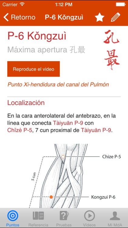 Un Manual de Acupuntura (A Manual of Acupuncture)