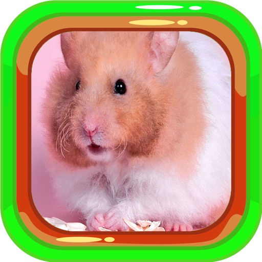 Mini Mouse Learn Games Jigsaw Puzzles Version icon