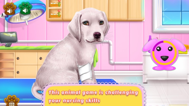 Labrador Puppy Day Care(圖3)-速報App