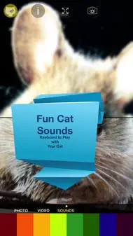 Cat Vision HD iphone bilder 3