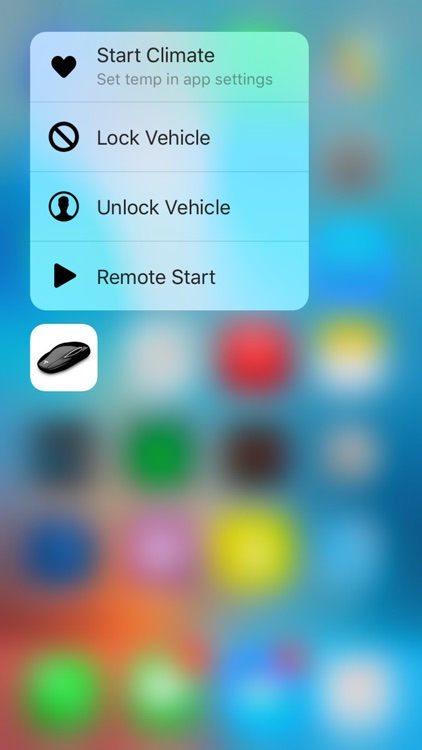 Key fob for Tesla