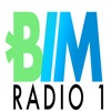 BIM Radio1